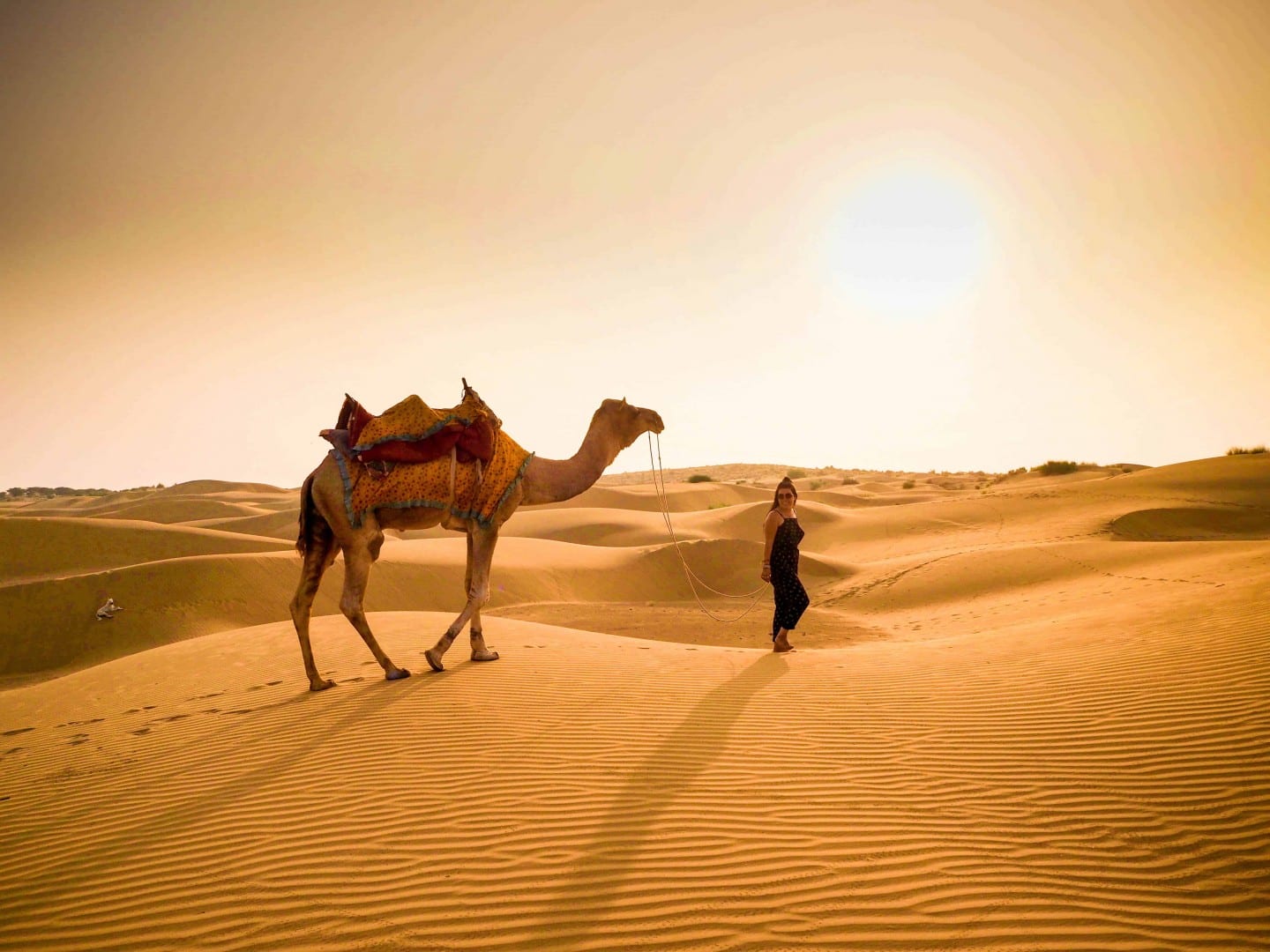 explore the golden city’s hidden gems & thrilling camel rides